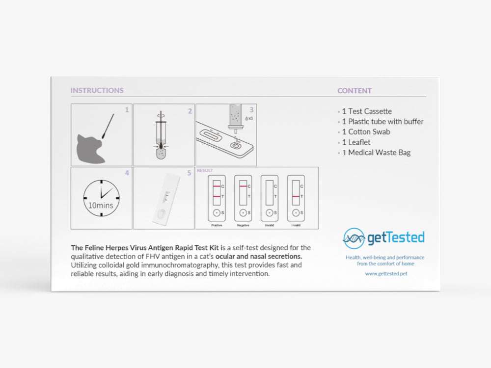 Herpes-Test für Katzen