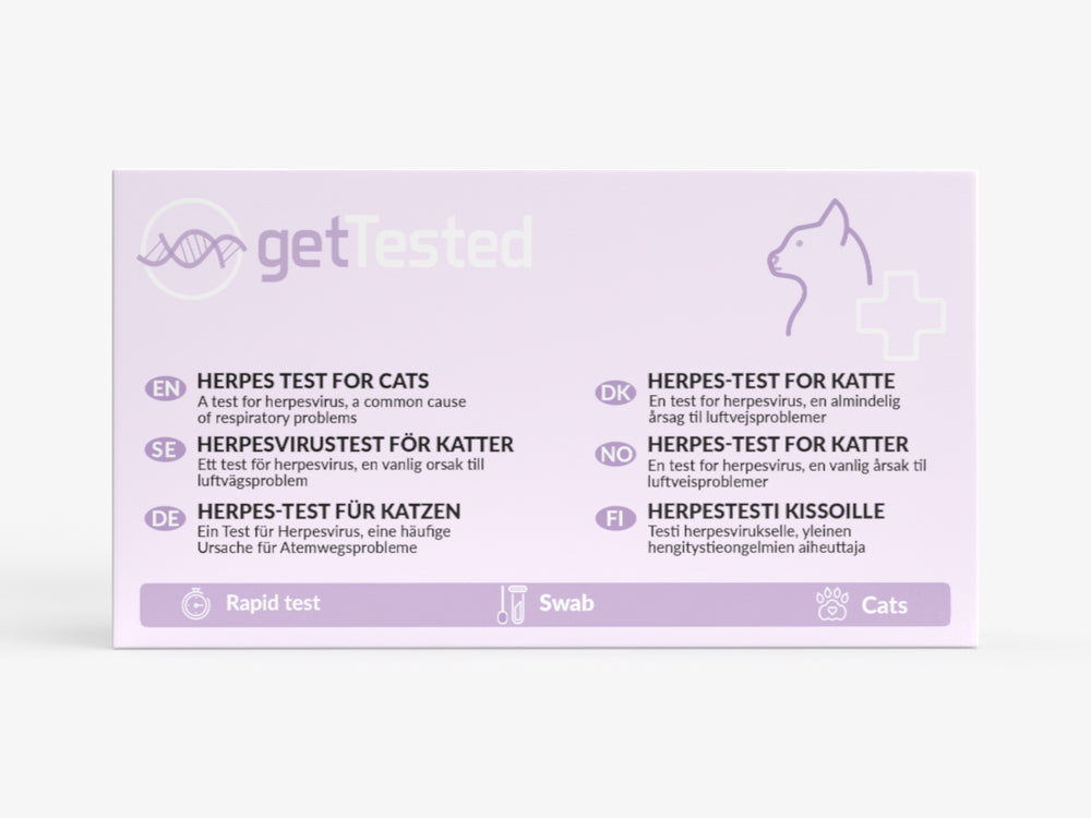 Herpes-Test für Katzen