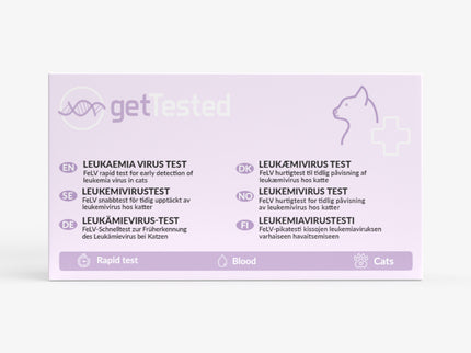 Leukemia virus test for cats
