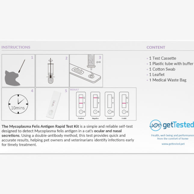 Mycoplasma-Test für Katzen mit Gebrauchsanleitung und Diagnostik-Schritten auf weißem Hintergrund.