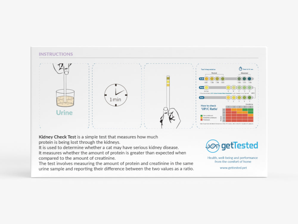 Nierentest für Katzen mit Teststreifen und Farbtabelle zur Analyse im Flüssigkeitsbad.