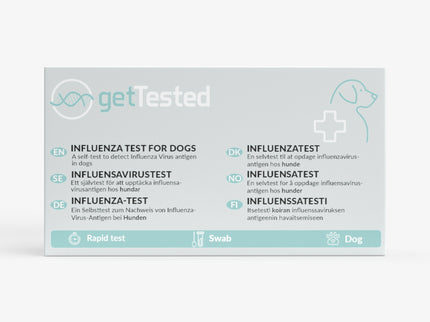 Influenza test for dogs