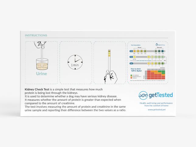 Kidney test for dogs