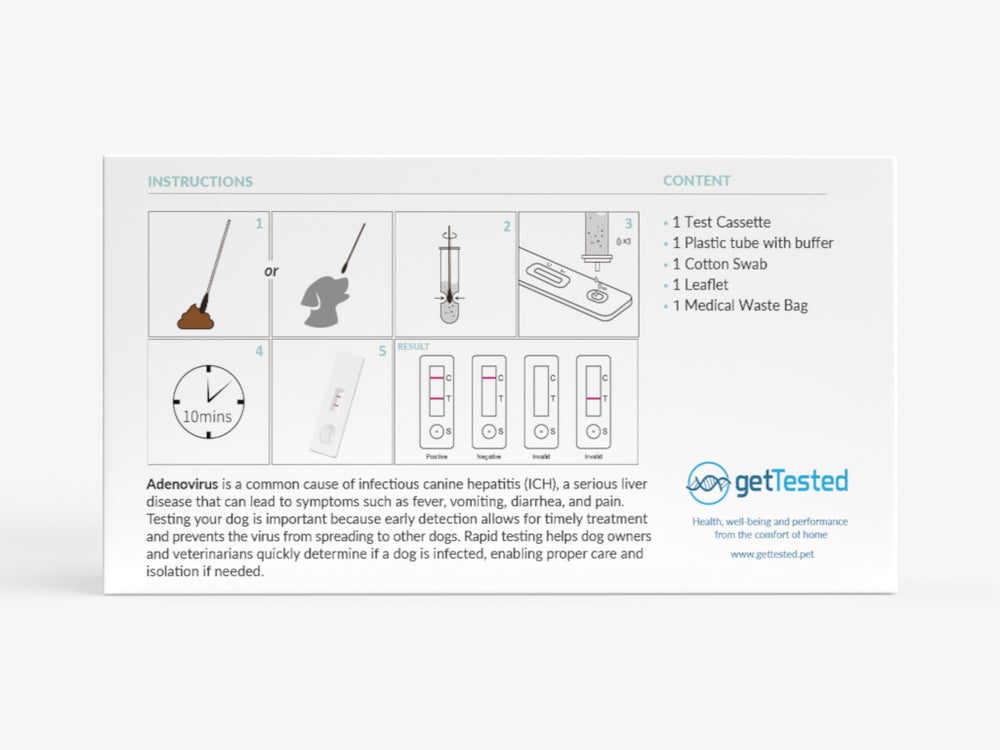 Adenovirustest für Hunde mit Testkassette, Puffer, Wattestäbchen und Anleitung in Verpackung.