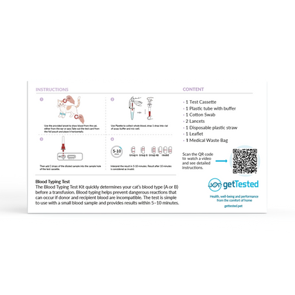 Blutgruppen-Test Katze – Bluttyp A/B/AB | GetTested