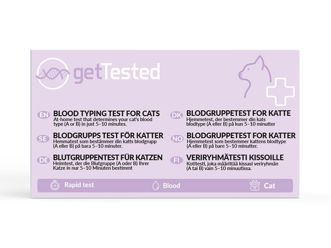 Blutgruppen-Test Katze – Bluttyp A/B/AB | GetTested