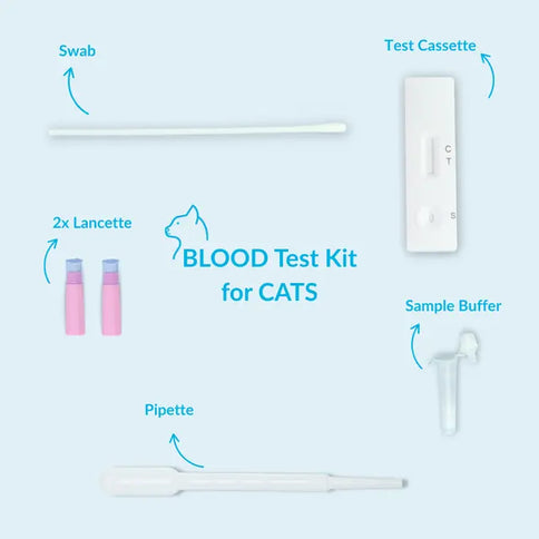 Blutgruppen-Test Katze – Bluttyp A/B/AB | GetTested