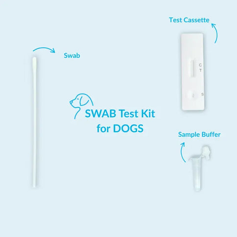 Staupe-Test für Hunde