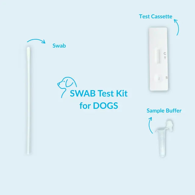 Staupe-Schnelltest für Hunde mit weißer Testkassette, Abstrichtupfer und Probenpuffer.