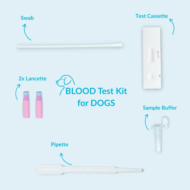 Test auf okkultes Blut im Stuhl (Hund)