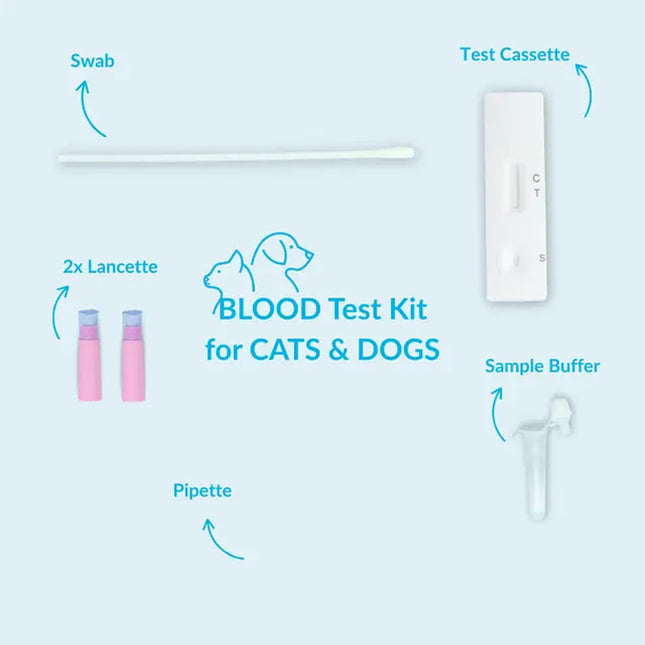 Ehrlichia-Antikörper-Testkit für Hunde mit weißer Testkassette, Tupfer, zwei Lanzetten und Pipette.